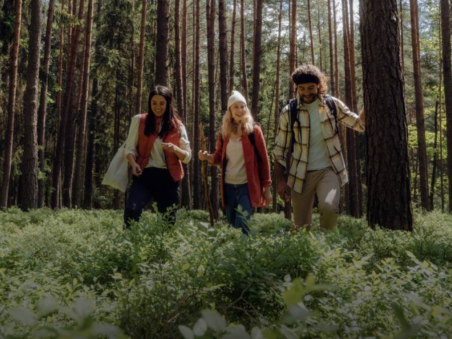 Trois jeunes randonneurs en tenue de plein air décontractée marchent dans les hautes herbes d'une forêt ensoleillée